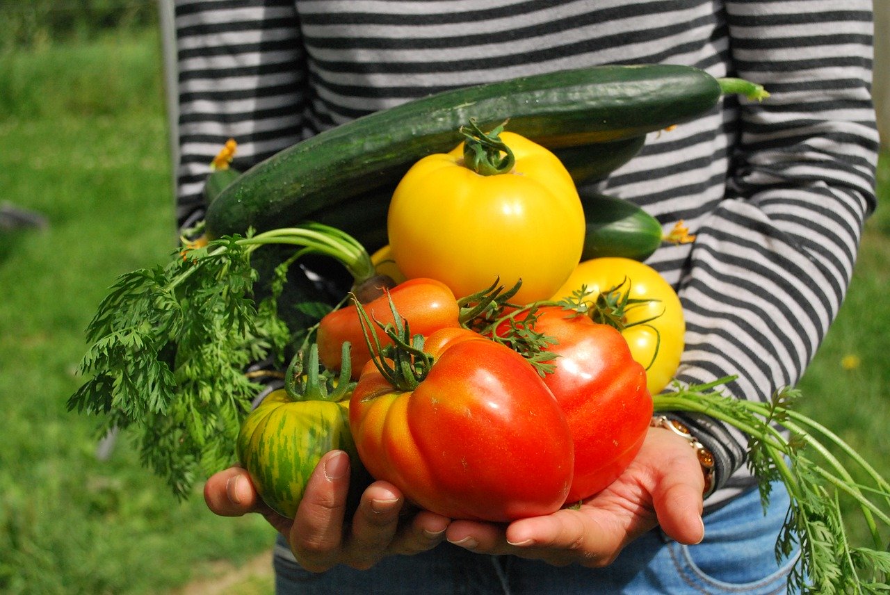 Zmiany w znakowaniu żywności bez GMO