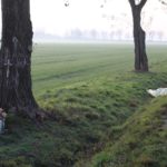 wypadek śmiertelny koło Ścinawy, 20.11.2019 r (13)