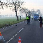 wypadek śmiertelny koło Ścinawy, 20.11.2019 r (16)