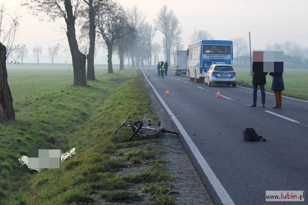 Tragedia na drodze wojewódzkiej. Rowerzysta zginął na miejscu