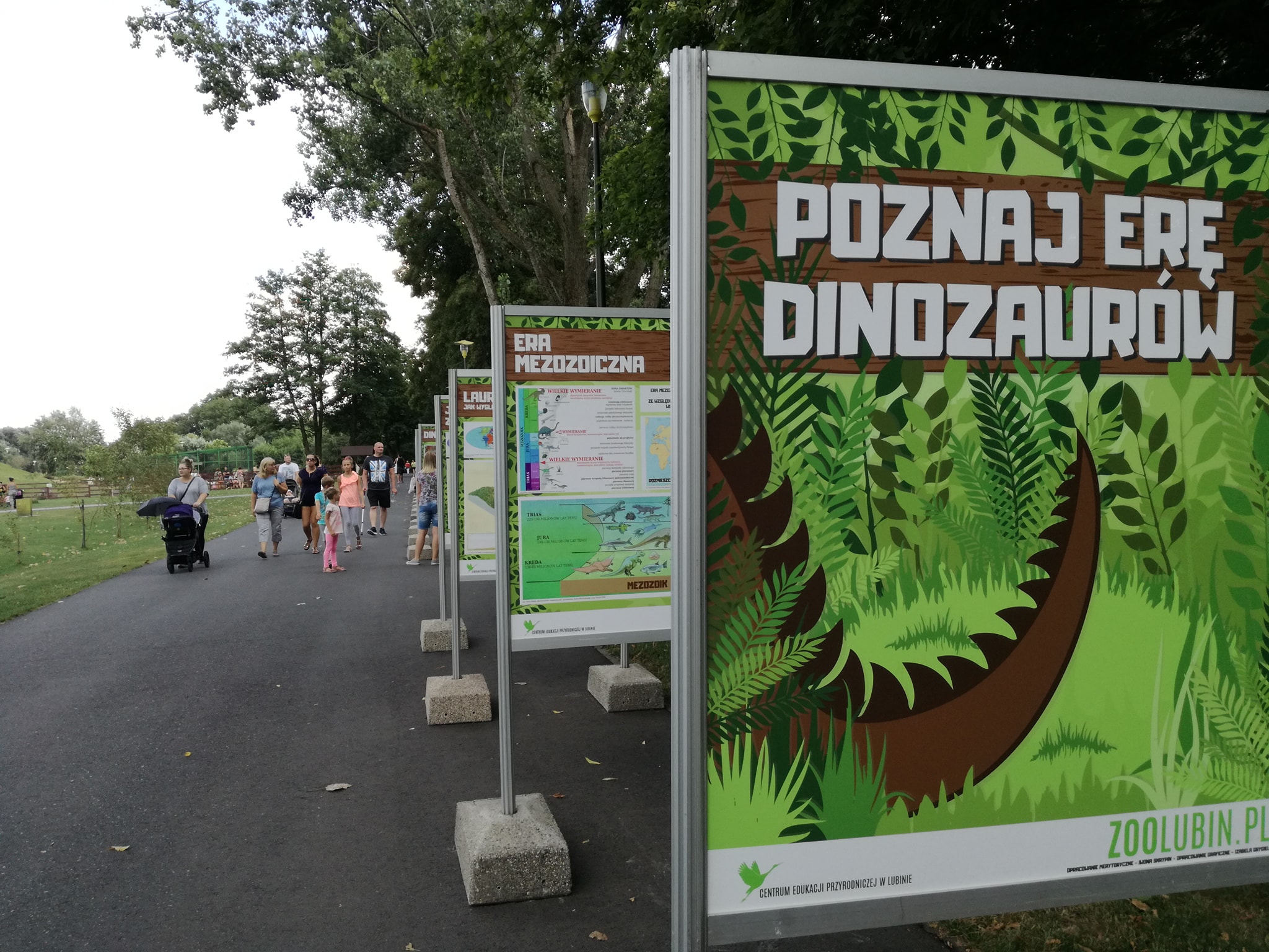 Poznaj erę dinozaurów