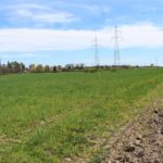 polesie, inwestycjaa (2)