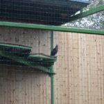 zoo, park Wrocławski, 2020 (4)