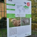 zoo, park Wrocławski, 2020 (9)