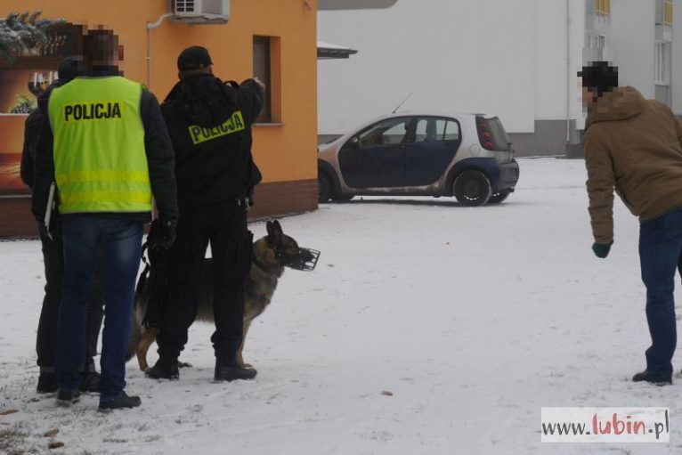 zwłoki, ulica Leśna (4)