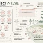 śmieci w lesie-grafika